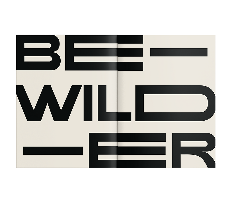 Bewilder.png