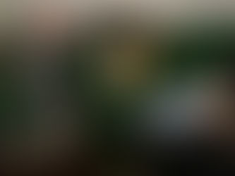 Uma história tatuada na pandemia