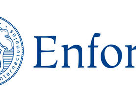 enforex empresa colaboradora Best Teacher