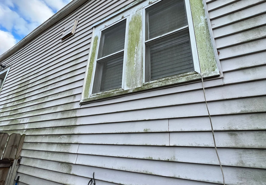 Dirty and algae covered house siding before soft washing in Gretna.
