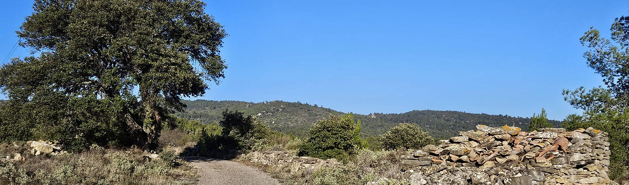 WhatsApp Image 2026-01-06 at 16.17.36.jpeg