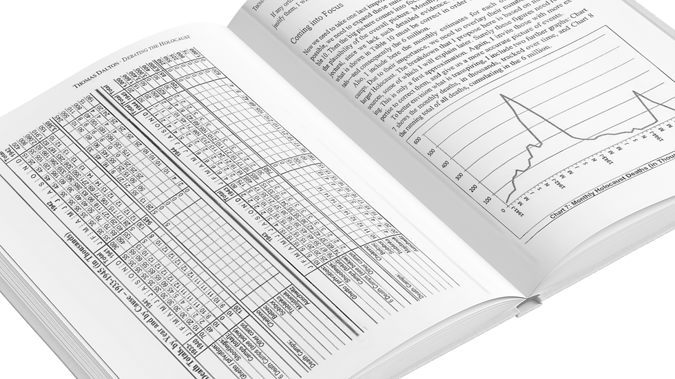 Thumbnail: DEBATING THE HOLOCAUST