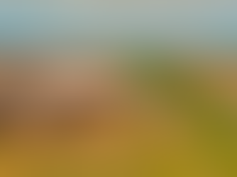 Jalapão decola: novo aeroporto de R$ 30 milhões em construção!