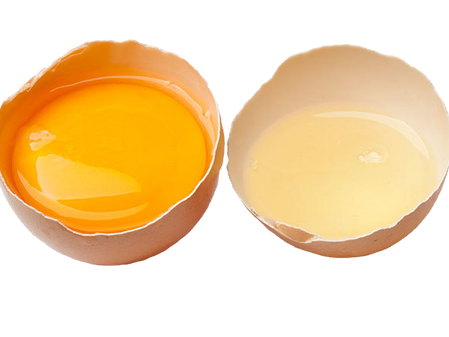 Eiweiss - die Quelle des Wachstums