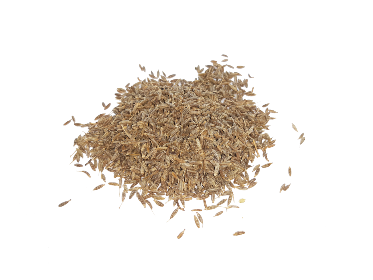 Kreuzkümmel_Nasia_Frauenfeld_Weinfelden_Gesund_Take-Away_Delivery