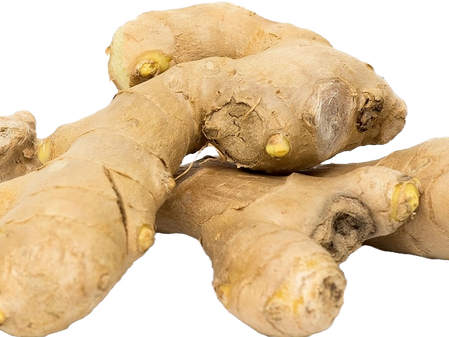 Ingwer - Die gesunde Wunderknolle