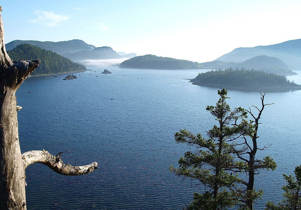 Parc national du Bic