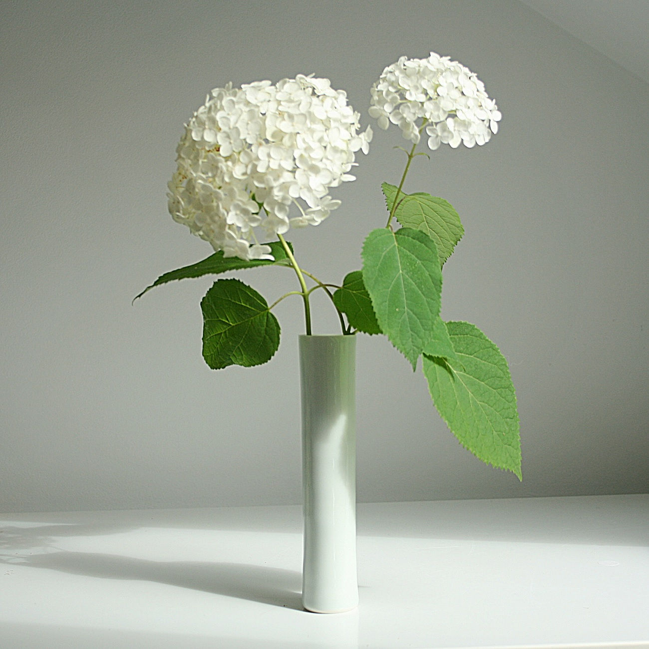 A cylinder vase in celadon