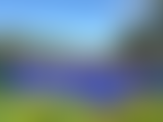 A holiday in Africa that gives back