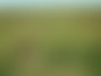 Article written by a Retreat Guest