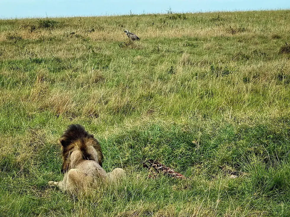 Article written by a Retreat Guest