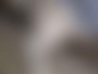 A photo showing a "dirty" cow or a cow with purulent vaginal discharge (PVD)