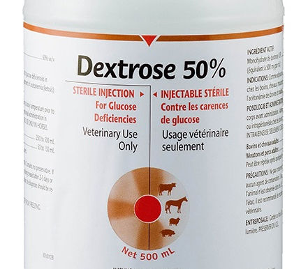 Dextrose for Ketosis Treatment – New Study