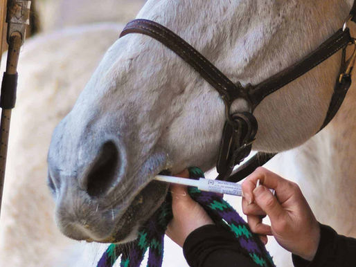 Equine Deworming
