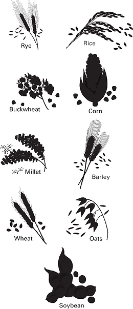 grains.png