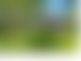 Residential Treatment Centers for Autistic Adults With Severe Behavior Challenges: What They Are, Who They Help, and What Outcomes You Can Expect