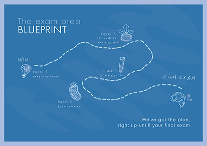 Blue Print mapArtboard 1_4x.png