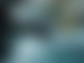 Addressing Frequent Plumbing Issues: A Homeowner’s Guide