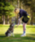pippin-18.jpg