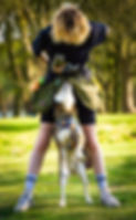 pippin-19_edited.jpg