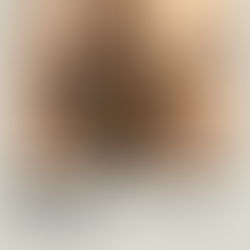 How to Train Your Dragon (2025) Review