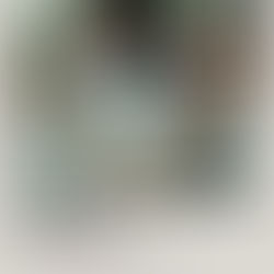 Hot Fuzz (2007) Review