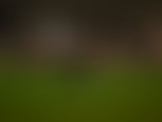 Victoria contundente y pase a cuartos de la Copa RFEF