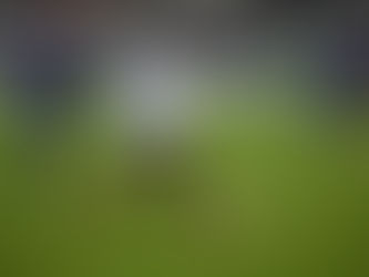 Tres puntos de oro para el Real Unión Club
