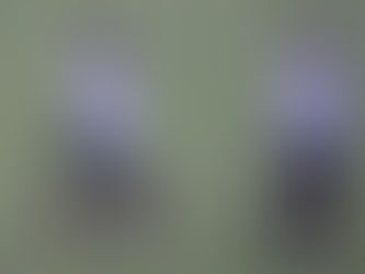 Un poker de goles y los tres puntos se quedan en casa