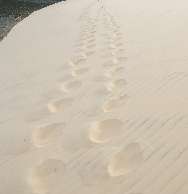 2019%20Feb%20Australia%20Fraser%20Island