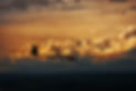 is29d_22864172603_o.jpg