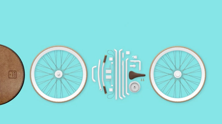 bikeinabag1.jpg