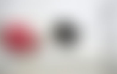 Thought of the Day - November 11 - Detector Dogs Revisited