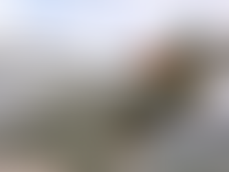 Thought of the Day - December 27 2021 - Cruisin' for a Bruisin'