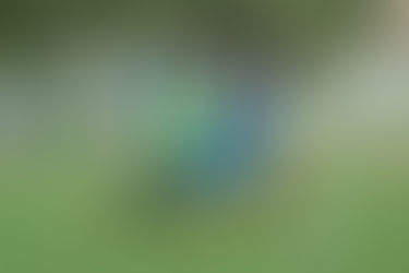 “Santos Soledad es el siguiente rival”