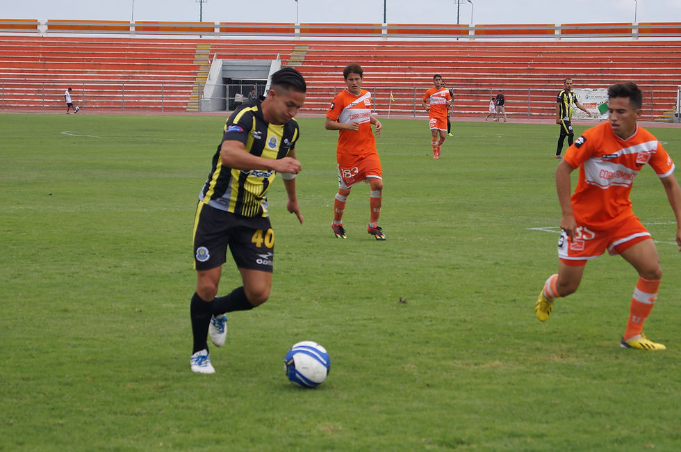 CORRECAMINOS VS REBOCEROS