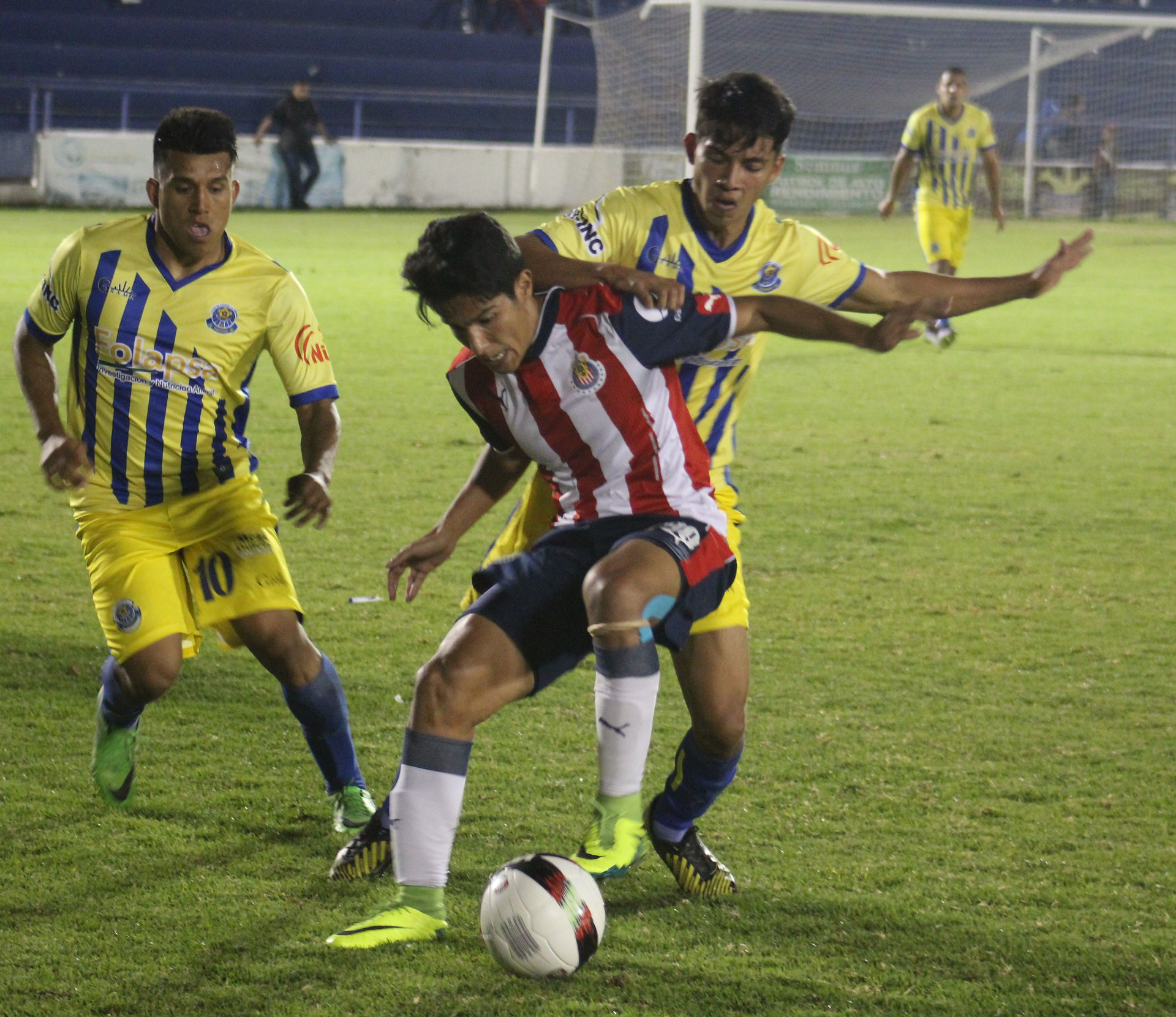REBOCEROS VS CHIVAS PREMIER