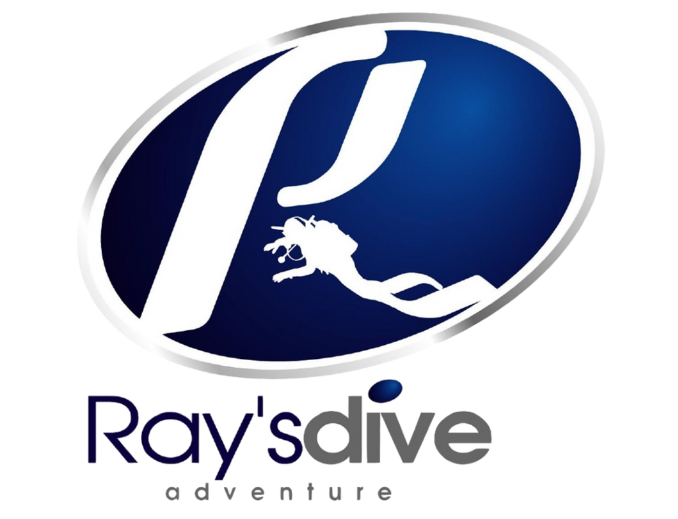 Raysdive 1080x827.png
