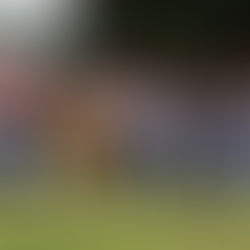 Over 20 sports administrators get certification as NOCZ concludes Sports Administration Course