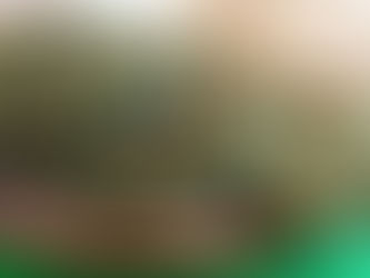 Hamburguesas de espinaca