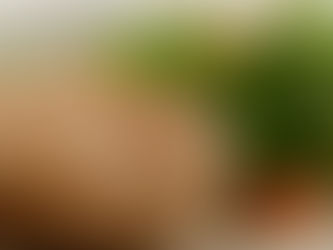 HAMBURGUESA DE POLLO