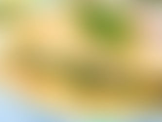 CREPES DE RICOTA Y ESPINACA