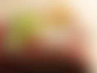 PECHUGAS DE POLLO A LA PARMESANA