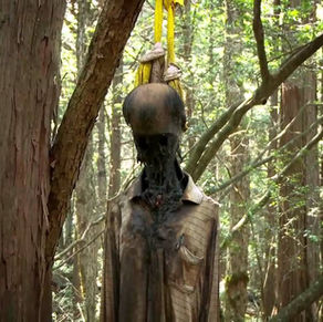 İntihar ormanı Aokigahara