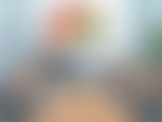 In Travel Risk do you ever present your risk appetite or tolerance?