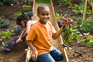 Gardening