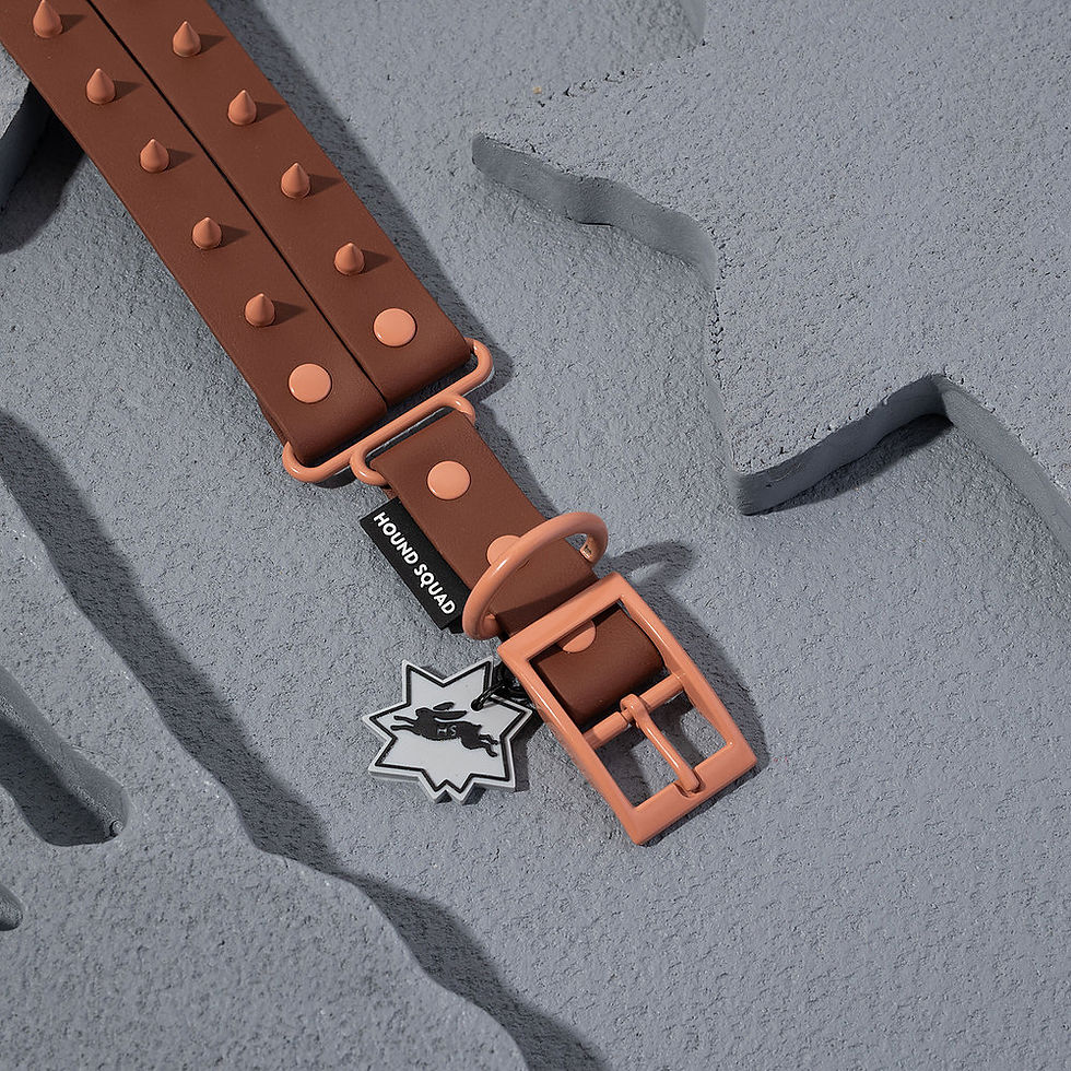 Thumbnail: Dog collar wide spike brown