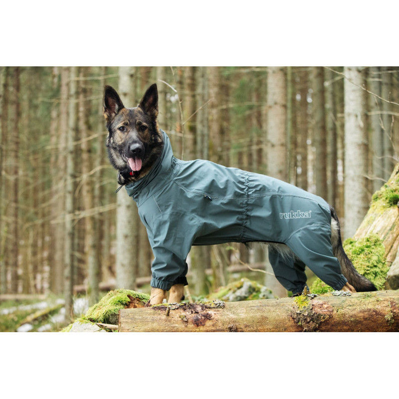 Thumbnail: Dog protect overall olive