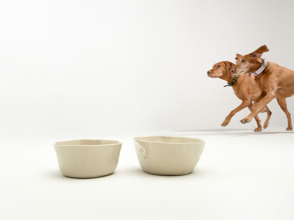 Miniatiūra: Rankų darbo keraminis naminių gyvūnėlių dubenėlis