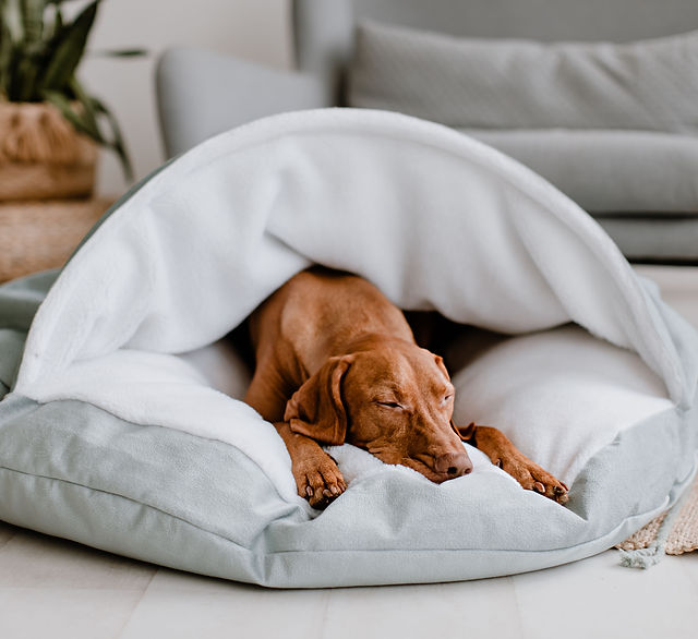 Collared Creatures Beige Luxury Dog Snuggle Bed Snuggle
